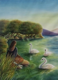 Swans  (sold)