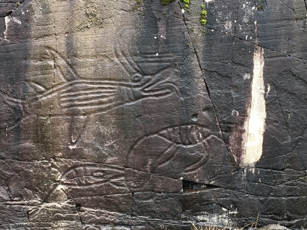 Petroglyphs